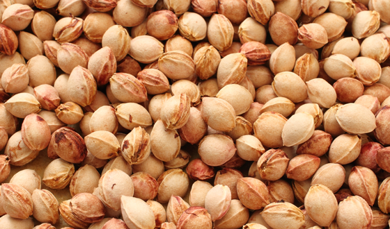 Biomasse