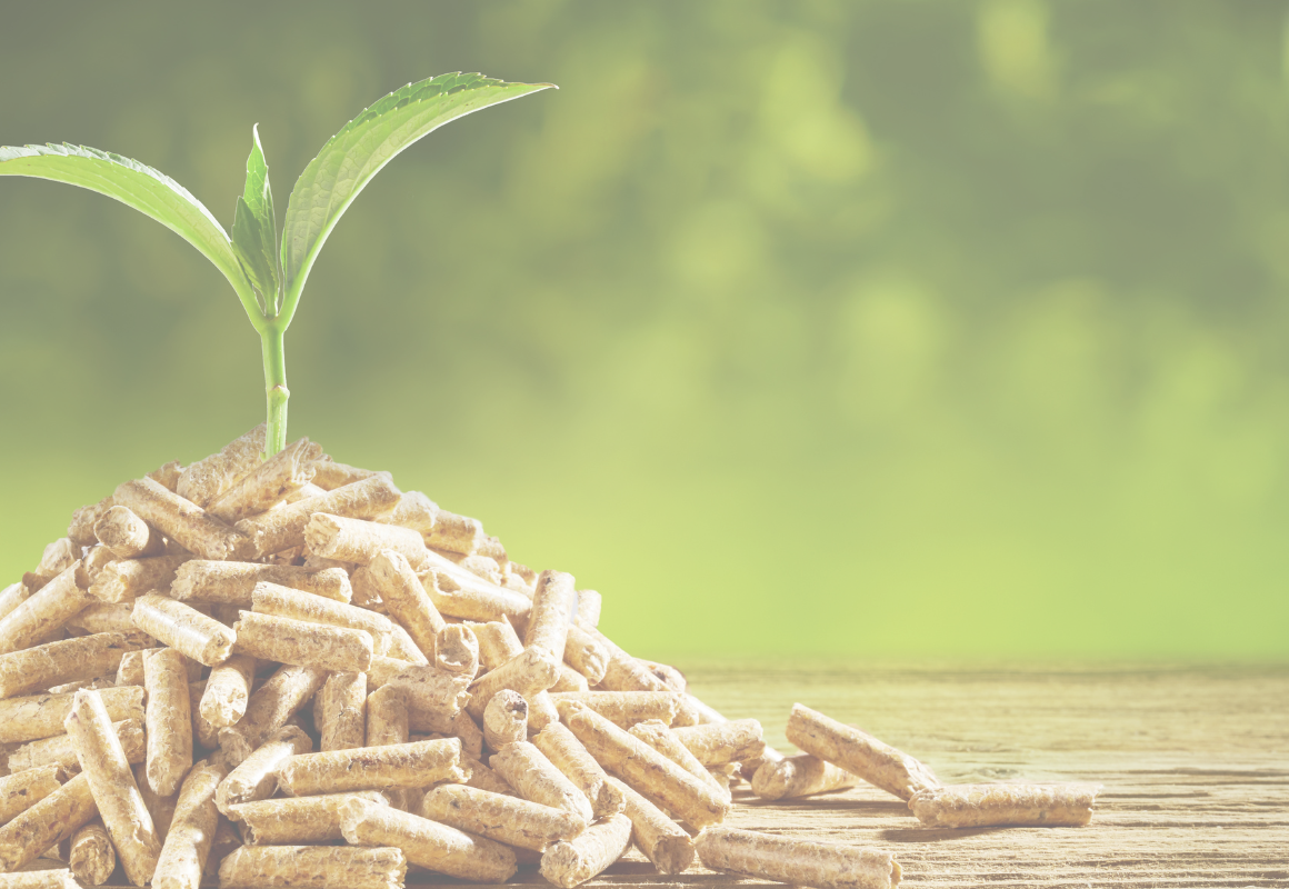 Holzpellets auf einem Holztisch mit einem kleinen grünen Pflanzentrieb vor unscharfem Naturhintergrund.