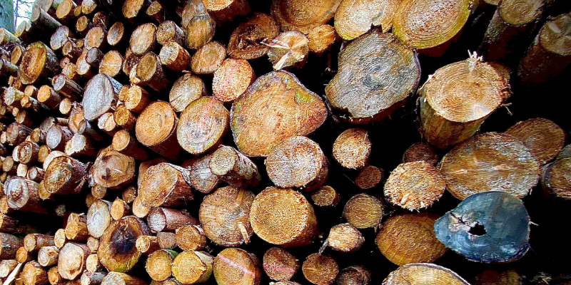 Detailaufnahme von Beispielprodukt Biomasse