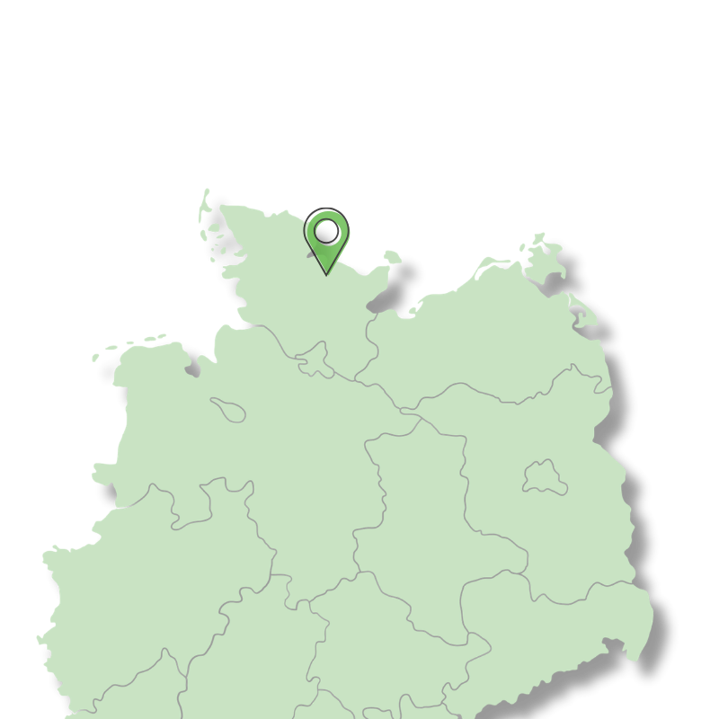 Schematische Landkarte von Nordwestdeutschland mit einem grünen Standort-Pin in der Region Kiel.