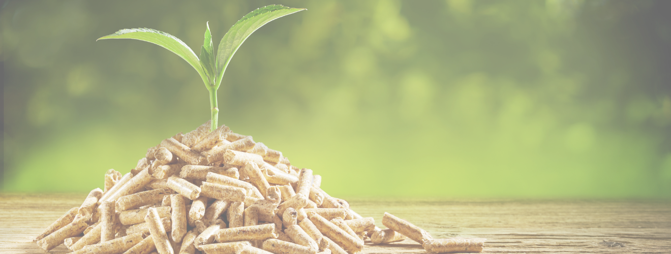 Holzpellets auf einem Holztisch mit einer kleinen grünen Pflanze, unscharfer Naturhintergrund.